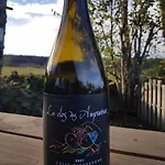 Terre D'horizon Auvergne 酒店 沙斯特雷