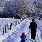 Terre D'horizon Auvergne