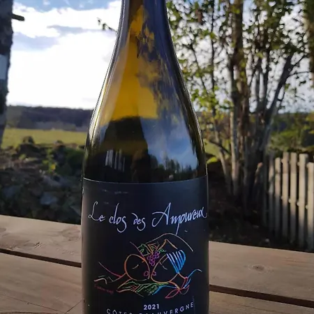 Terre D'horizon Auvergne 호텔 샤스트레