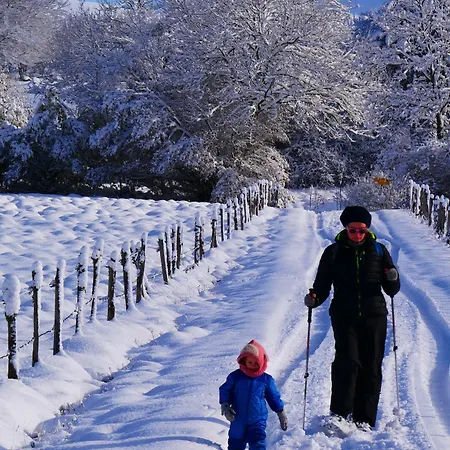 Terre D'horizon Auvergne