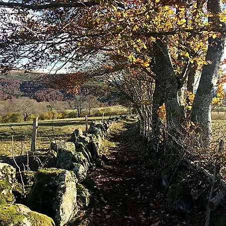 Terre D'horizon Auvergne